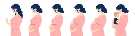 Set of women, path from pregnancy test through different stages to motherhood. Mom with baby. Vector isolated flat illustration of peopleのイラスト素材