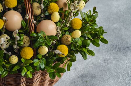 Spring concept for Easter card with copy spaceの写真素材