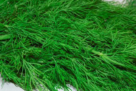A close-up of fresh, bright green dill (Anethum graveolens). This detailed macro image highlights the texture and rich color of this herb. Ideal for culinary, gardening, and healthの写真素材