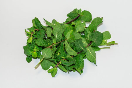 A close-up of a bunch of fresh, bright green mint leaves (peppermint) arranged against a white...
