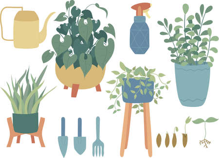 home indoor plants vector hand drawn illustrations set. Watering can, sprayer, garden tools, seeds, the evolution of seed growth.Flat style. Vector illustration.のイラスト素材
