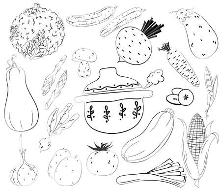Hand drawn vegetable on white background. Traditional Doodle food sketch. Vector sketch illustration. Line art.のイラスト素材