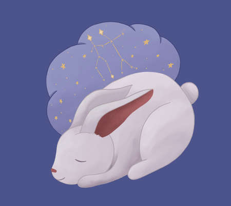 Zodiac for children with cute animals. White rabbit sleeping and dreaming with a star map. The constellation of Gemini. Bunny cartoon illustration in pastel colors. Nursery poster.の写真素材