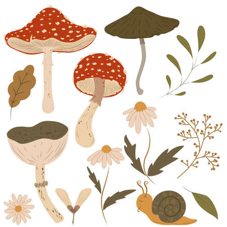 Forest plants clipart collection. wild botanical set. Hand drawn woodland trees, herbs, mushrooms, flowers, branches, berries, leaves. cartoon illustration. organic porciniの写真素材