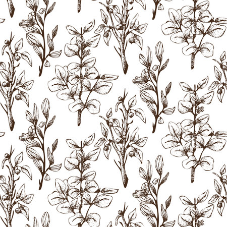 Floral or Botanical Christmas seamless pattern of eucalyptus, blackthorn, mistletoe. Winter plants design illustration for greetings, invitationのイラスト素材