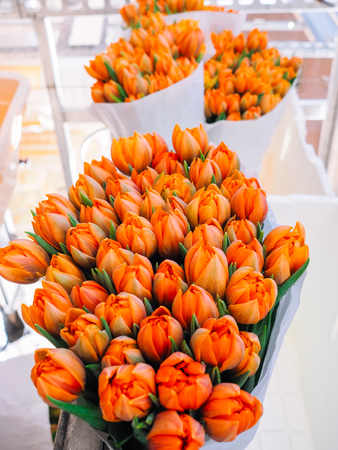 Amsterdam, sale of flowers in the flower market. Bouquets of various tulips. the best tulips of the worldの写真素材