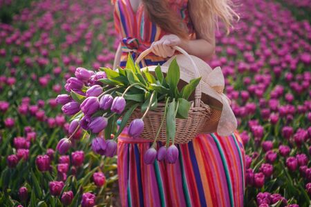 Magical Netherlands landscape with beautiful long red hair woman wearing in striped dress. Girl...