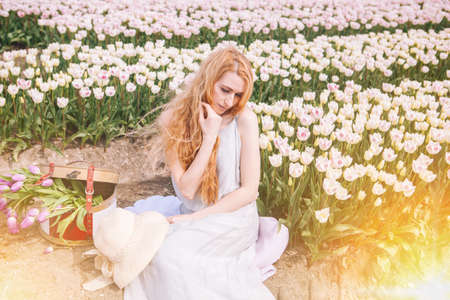 Beautiful red hair woman wearing in striped dress standing on colorful tulip flower fields in Amsterdam region, Holland. Magical Netherlands landscape with tulip field. Trevel and spring conceptの写真素材