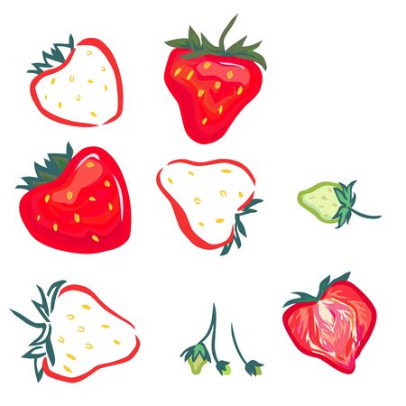 A vector images of strawberry: red, green little green berries, and cut in half.のイラスト素材