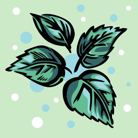 A set of four stylized leaves, of mint or any other plant.のイラスト素材