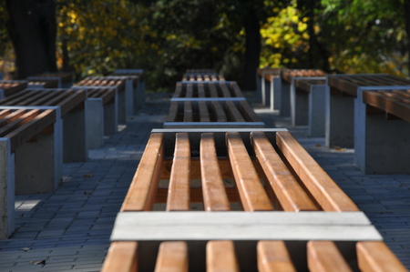 Simple design benches in municipal parkの写真素材