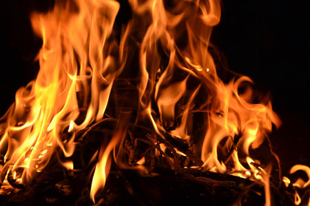 Close-up of a small bonfire from a brushwood burning in July night, flame background.