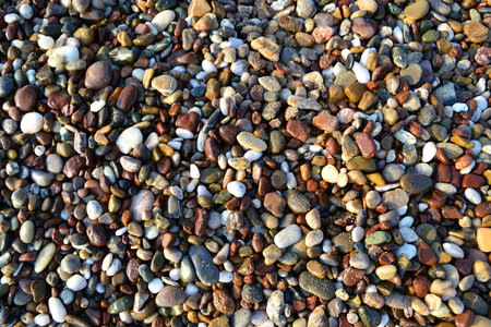 Top-view of many wet and sandy sea stones of different colour, form and size at the beach