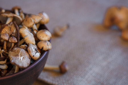 fresh forest mushrooms in a bowl standing on a table with sackcloth, place for text