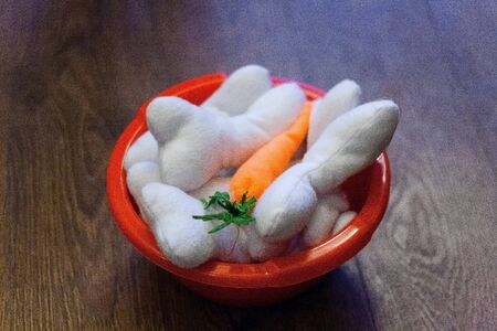 Soft toys - bones for dog in a dish. Artificial chewing toys for puppies. Entartainment for children or pets concept.の写真素材