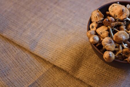 fresh forest mushrooms in a bowl standing on a table with sackcloth, place for textの写真素材