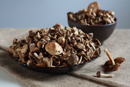 fresh forest mushrooms in a bowl standing on a table with sackcloth, place for textの写真素材
