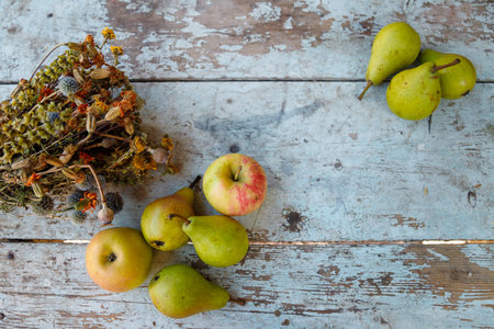 Dry healing herbs bouquet and fresh autumn fruits, applees and pears on rustic blue background.の写真素材