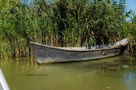 Old fishing boat on river on green background.の写真素材
