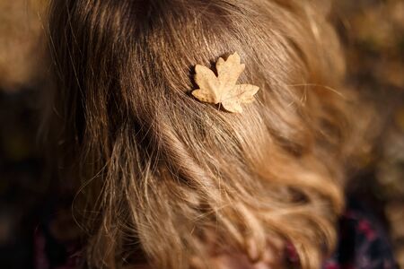Close up of small golden autumn leaf in hair of girl or woman back to camera. Autumn, changing concept, haircare concept.の写真素材