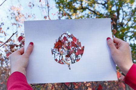 Female hands holding white paper with cutout leaf shape inside. Autumn red leaves on background. Change, ecology, eart concept.の写真素材