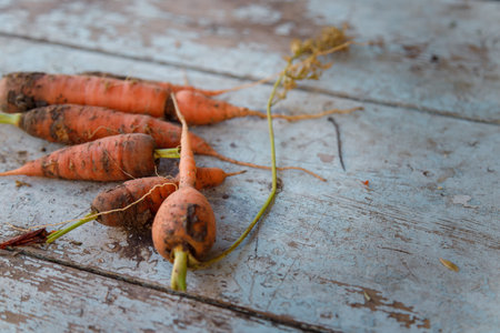 Bunch of fresh carrots on old wooden blue table background. Organic vegetables, vegetarian food. Top...
