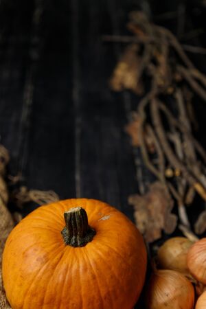 Pumpkin and onions with dry autumn branches on black wooden background. Autumn harvest, healthy organic food concept. Copy space.の写真素材
