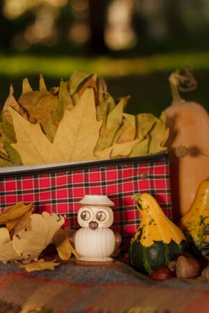 Autumn composition with plaid, pumpkins, dry leaves, red suitcase and wooden owl toy. Vertical shot, copy space.の写真素材