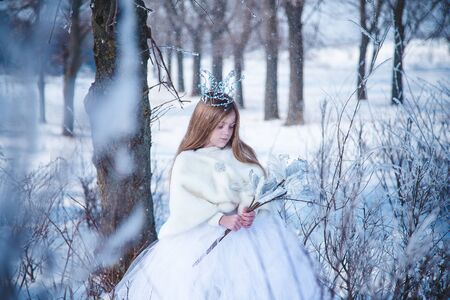 Portrait of a little girl in white dress, fur coat and beaded crown standing on blurry winter snowfall background among bushes covered with snow.の写真素材