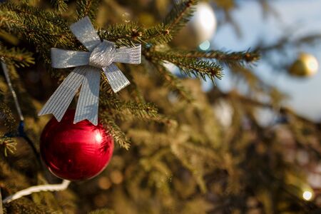 Close up shot of fir tree branch decorated with festive bow and bulbs. Merry Christmas concept. Copy space.の写真素材