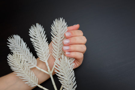 Female hands with fir-tree forest manicure holding white artificial fir branch on black background....
