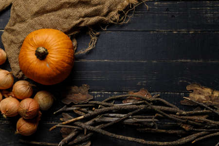 Pumpkin, onions with dry autumn branches and sackcloth fabric on black wooden background. Autumn harvest, healthy organic food concept. Copy space.の写真素材