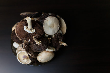 Raw champignons on black wooden table. Healthy organic vegetarian food. Diet, nutrition, eating...