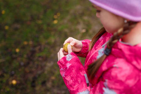 Little girl in pink jacket holding some fruit on blurry autumn forest background. Soft focused shot.の写真素材