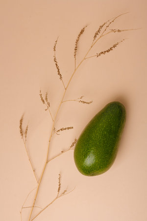 One whole green fresh avocado and tender simple plant branch on beige background. Minimal styled...
