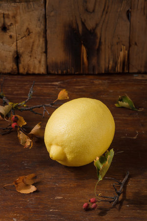 Fresh sweet sour lemon on wooden brown background with some dry autumn leaves, vertical shot.の写真素材