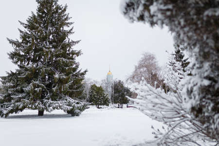 Beautiful snowy winter landscape with fir tree and church.の写真素材