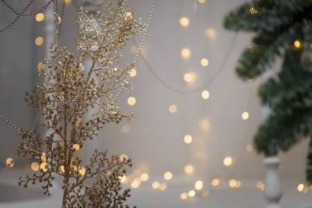 Soft focused shot of golden shiny branch on Christmas lights bokeh background. Fir branches, festive atmosphere, holiday spirit, New Year celebration concept. Copy spaceの写真素材