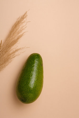 One whole green fresh avocado and tender reeds branch on beige background. Minimal styled...