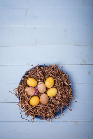 Brown, yellow Easter eggs in nest on blue wooden background. Eggs colored with turmeric, coffee, tea. Top view, copy space. Vertical shotの写真素材