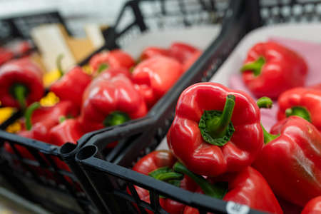 Red fresh sweet bell pepper in boxes, row in grocery department store, supermarket. Shop local conceptの写真素材