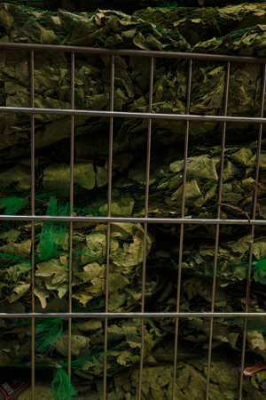 Oak bath brooms or veniks for banya and sauna in packages in supermarket trolley, vertical close up...