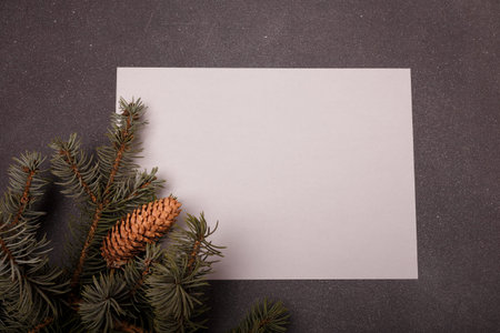 Blue fir tree branch with big cone on grey and white wooden background. Merry Christmas blank card, advertisement template, copy spaceの写真素材