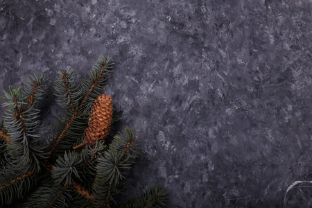 Blue fir tree branch with big cone on grey wooden background. Merry Christmas blank card,...
