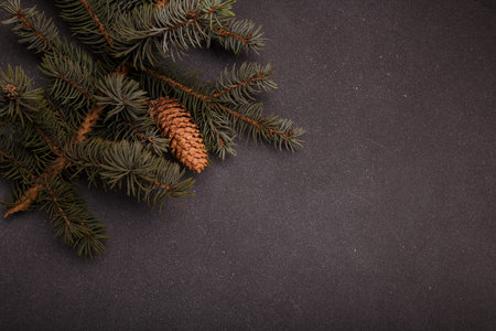 Blue fir tree branch with big cone on grey wooden background. Merry Christmas blank card,...