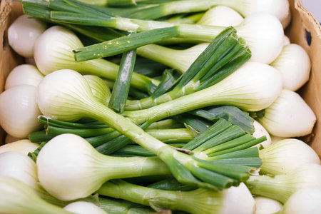 Spring young onions with white bulb and green leaves in carton in grocery store or supermarket....