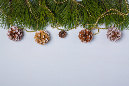 Merry Christmas, Happy New Year festive postcard, template, light background, pine tree branches,...