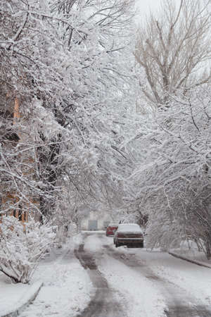 Car covered with snow on snowy trees and winter background. Blizzard, snowfall, snowstorm. Weather conditions conceptの写真素材
