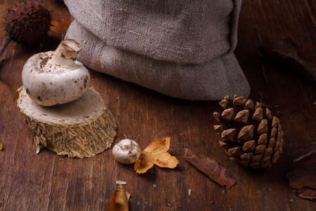 Natural fabric bag with fresh organic champignon mushrooms, autumn leaves, pine cones on rustic wooden background. Fall harvest, natural food.の写真素材
