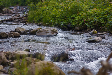 Mountain river or streamlet among stones and fresh greenery in summer by day light